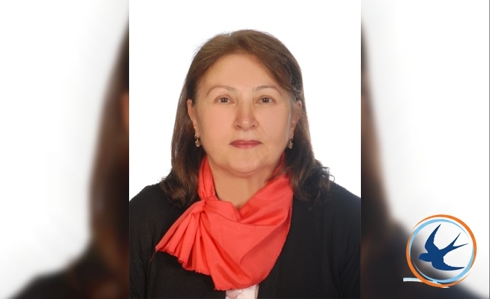 Anadolu Çınarları’ndan MADEK Projesi: Sosyal Sorunlara Mahallede "Erken Müdahale" Dönemi